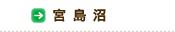 宮島沼